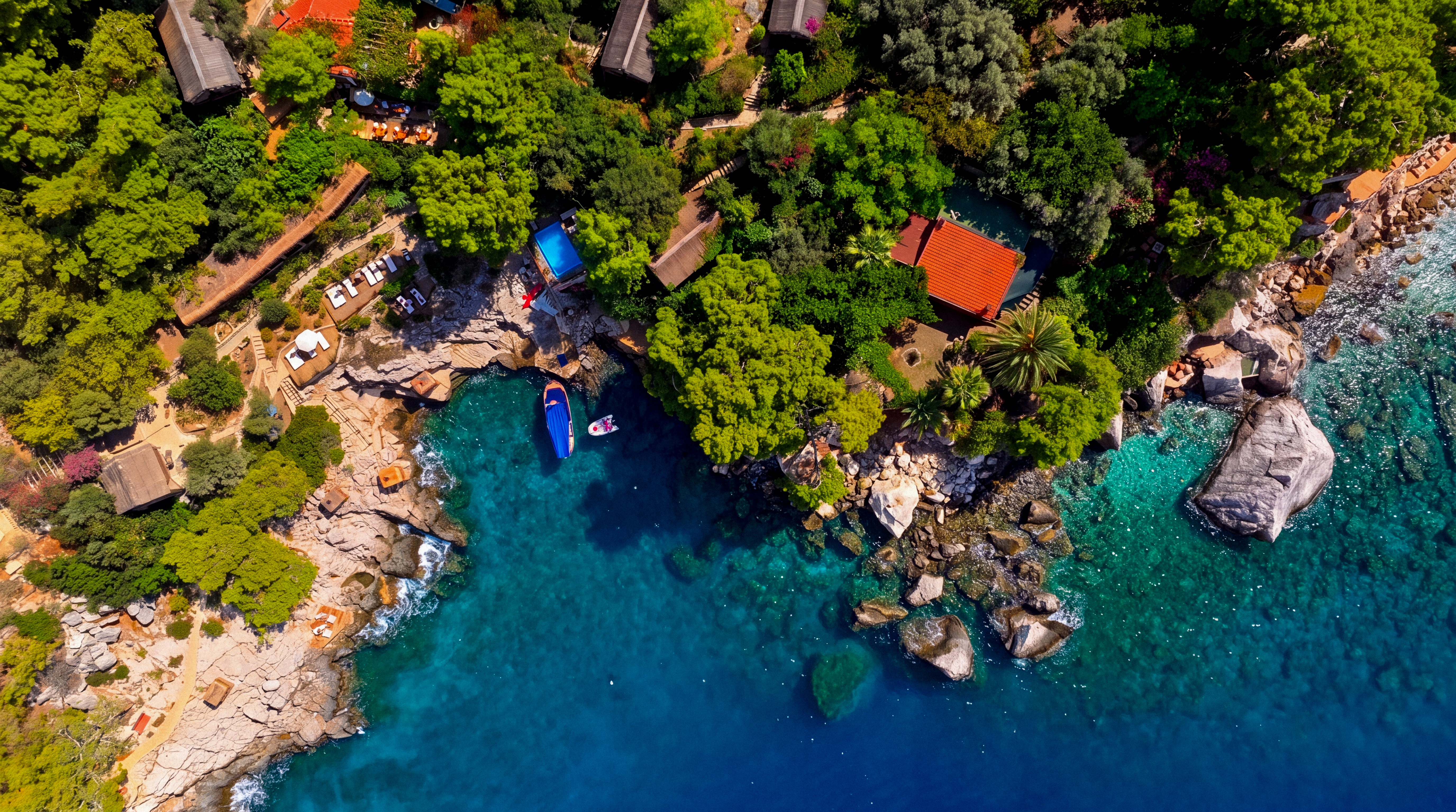 Faralya’ya Kök Salmış