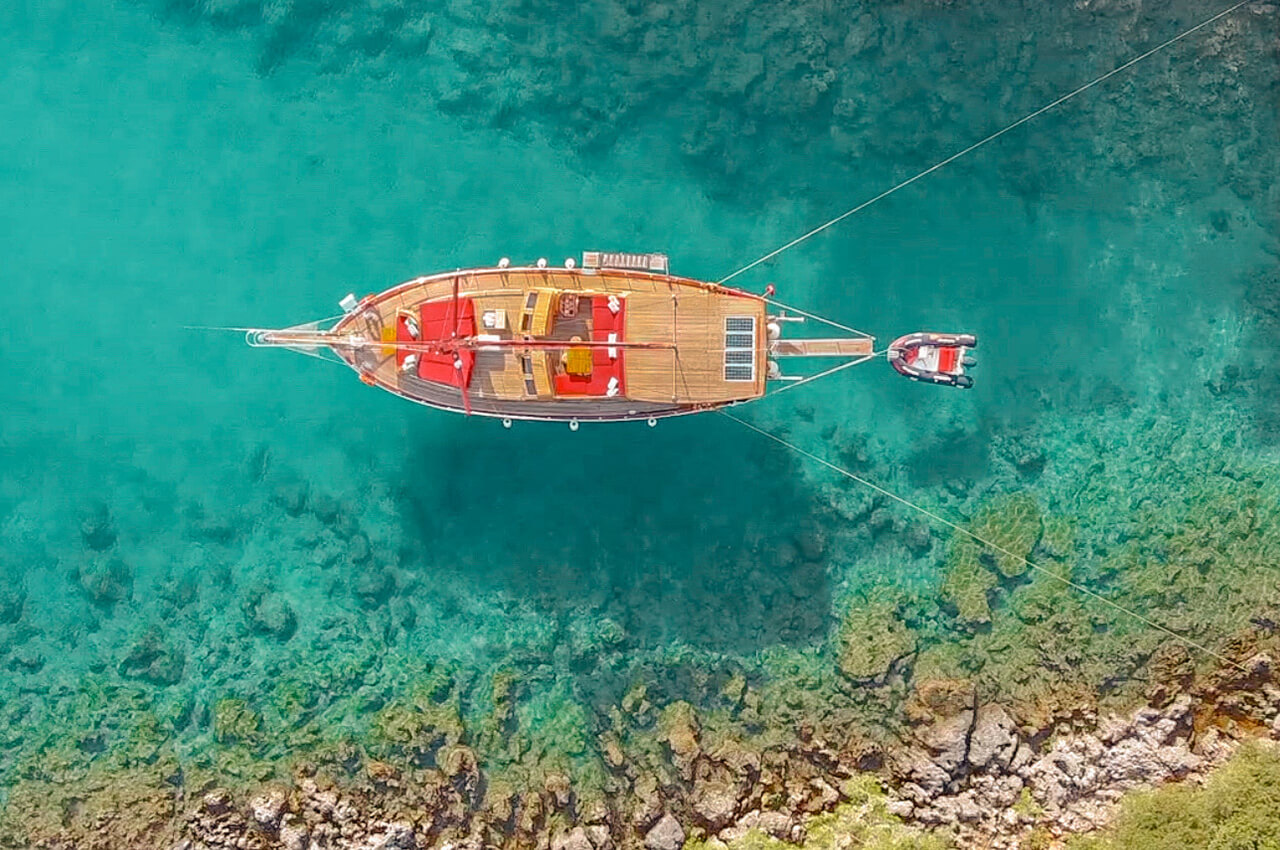 Blue Voyage